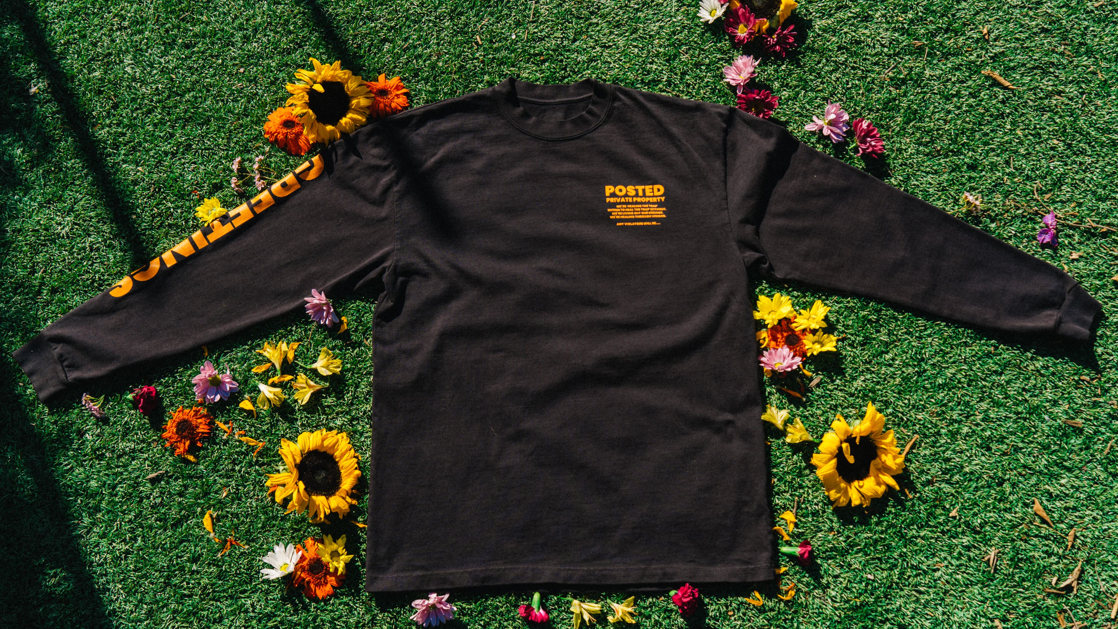 The Trap — capsule shot